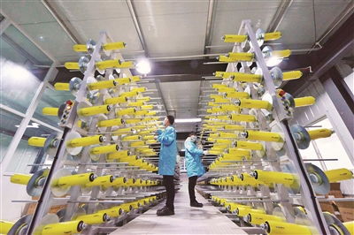 加速生物基材料技術研發與產業化，引領綠色新材料革命