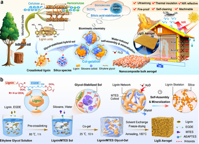 王清文教授團隊在木質素基功能材料領域取得新進展，推動生物基材料技術研發邁向新高度